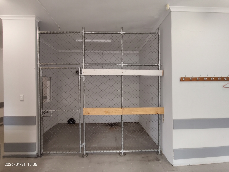 To Let commercial Property for Rent in Rondebosch Western Cape